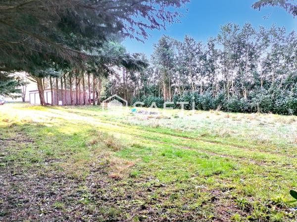 Lot 4 garages sur terrain de 2 000 m² env
