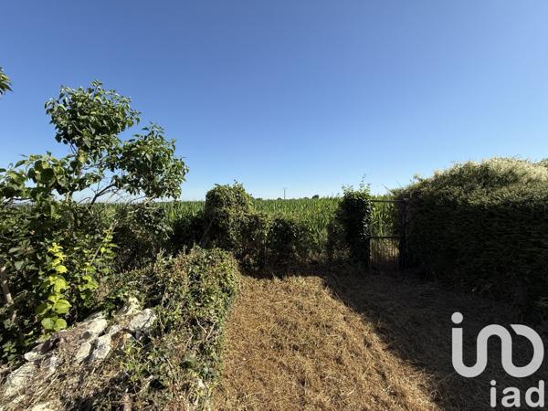 Maison à vendre 4 pièces 66 m² Availles-en-Châtellerault