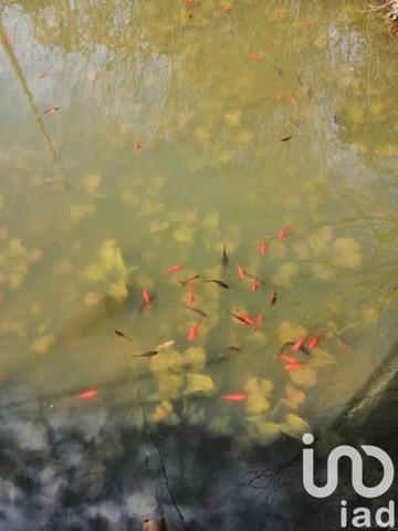 Maison à vendre 8 pièces 150 m² Égreville