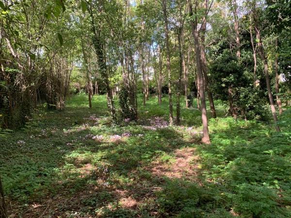 Terrain à vendre à Aubenas (07200)