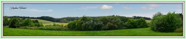 Terrain à vendre de 31 710,00 m² BOULT AUX BOIS (08)
