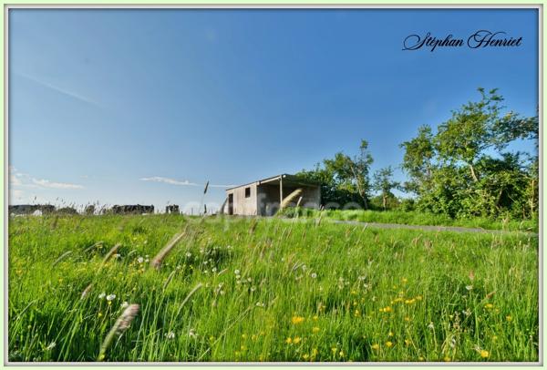 Terrain à vendre de 31 710,00 m² BOULT AUX BOIS (08)