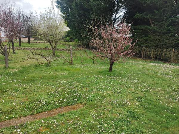 À vendre - Terrain projet construction 634 m² situé à Azay-le-Rideau (37190)