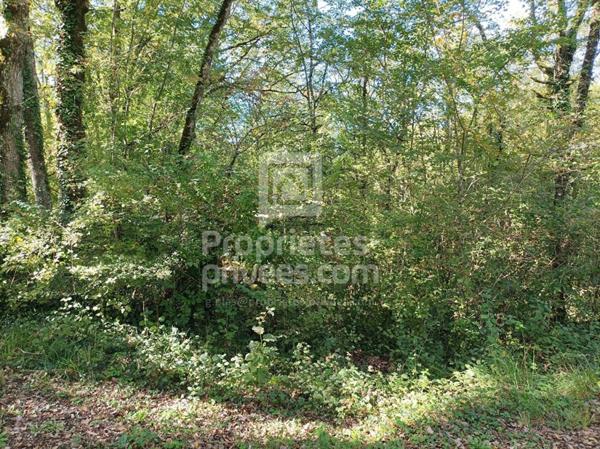 Terrain Montgesty 4515 m2