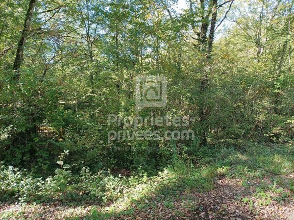 Terrain Montgesty 4515 m2