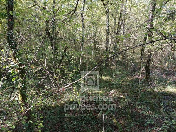 Terrain Montgesty 4515 m2
