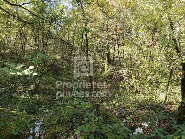 Terrain Montgesty 4515 m2