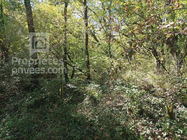 Terrain Montgesty 4515 m2