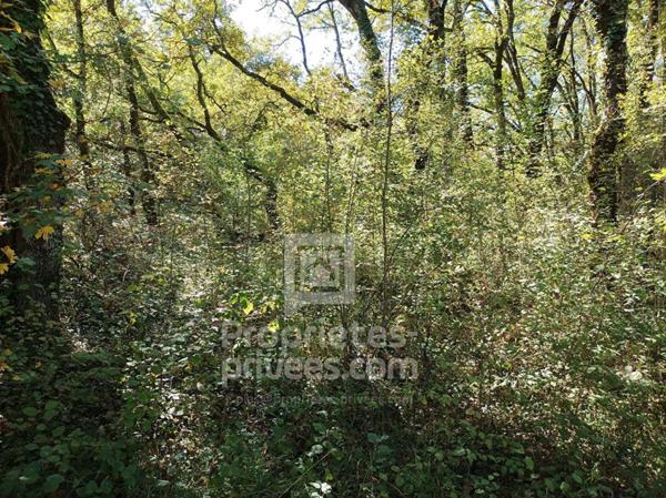 Terrain Montgesty 4515 m2