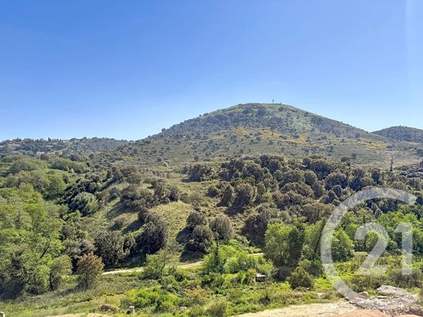 Appartement Studio à vendre  1 pièce - 29,61 m2 SARROLA CARCOPINO - 201