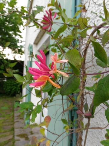 Jolie maison familiale - Performance énergétique optimisée = emprunt facilité
