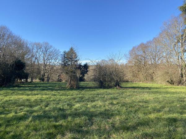 TERRAIN CONSTRUCTIBLE AVEC PRAIRIE DE 1ha Détails des diagnostics énergétiques