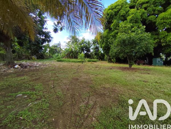 Terrain à vendre 852 m² Sainte-Rose