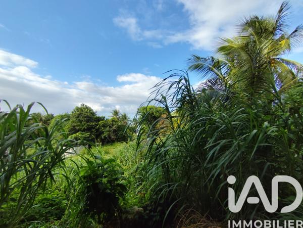 Terrain à vendre 852 m² Sainte-Rose