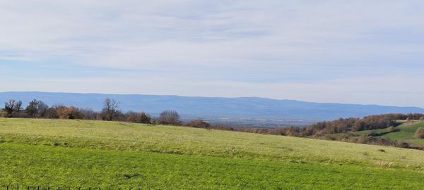 Saint-Barthélemy-Lestra (42110) Villa d'architecte bioclimatique