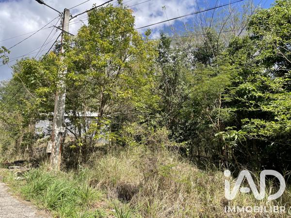 Terrain à vendre 11 265 m² Deshaies