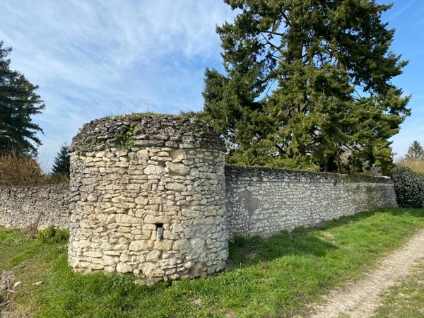 Charmante maison et maisonnette, Parc, 8 minutes de Chinon