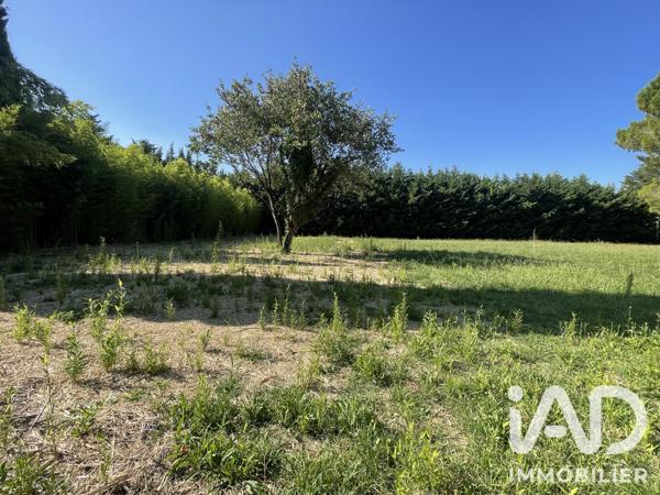 Terrain à vendre 1 200 m² Saint-Rémy-de-Provence