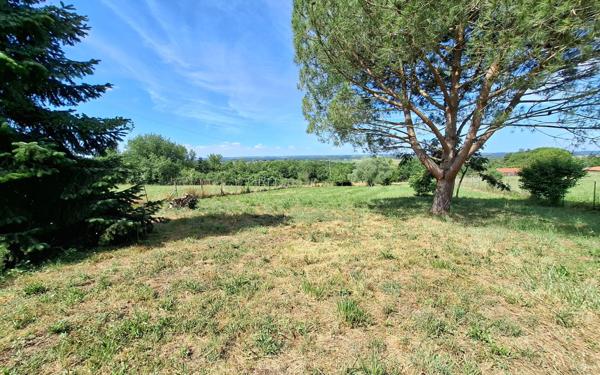 Maison à vendre    4 pièces •  Bessens