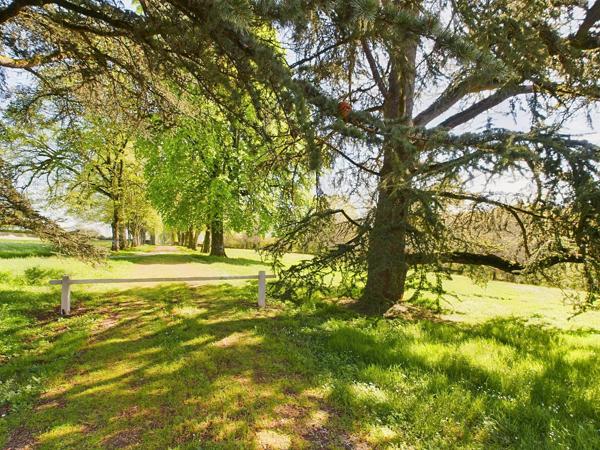 Superbe château du XIXe siècle dans un parc magnifique