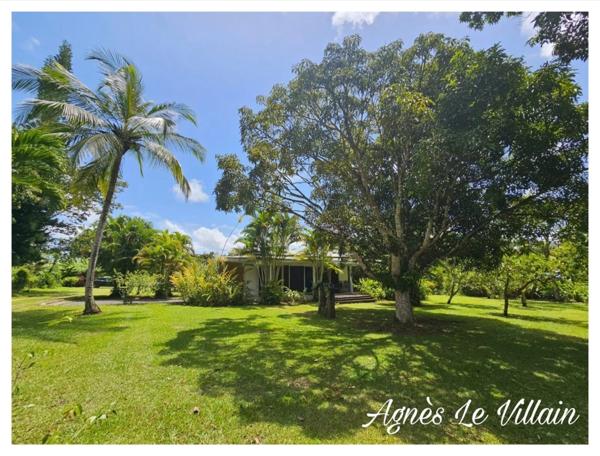 Villa Familiale avec Piscine + T2 + Bungalow sur 4 000 m2
