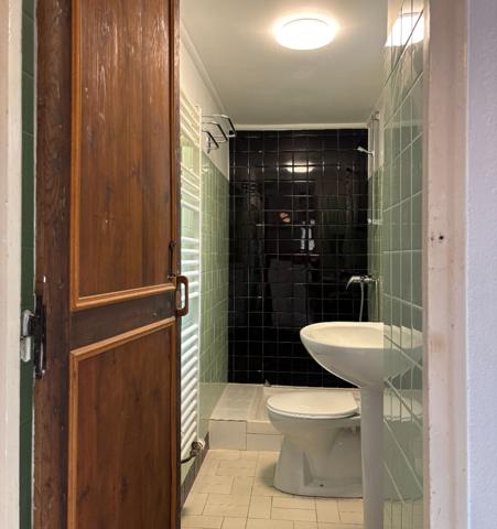 Maison de 133 m² à Sillé-le-Guillaume - 4 chambres, jardin et garage