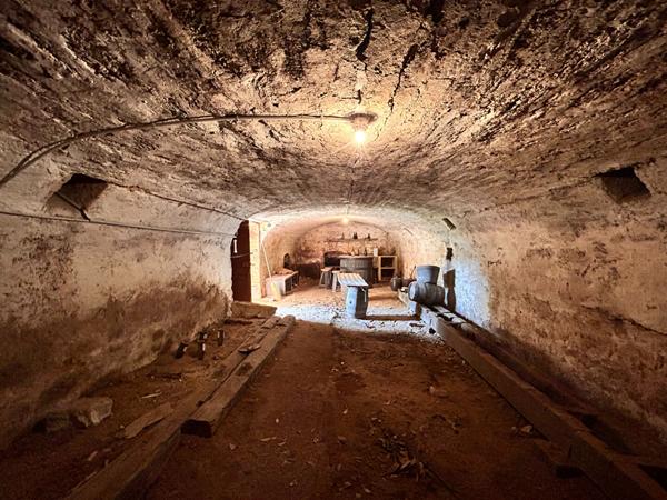 Propriété composée de 2 maisons d'habitation et multiples dépendances