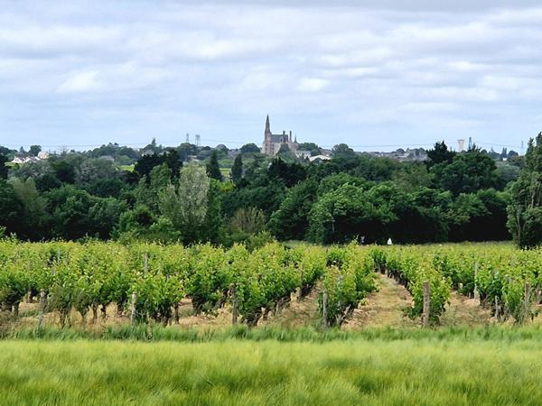 Propriété composée de 2 maisons d'habitation et multiples dépendances