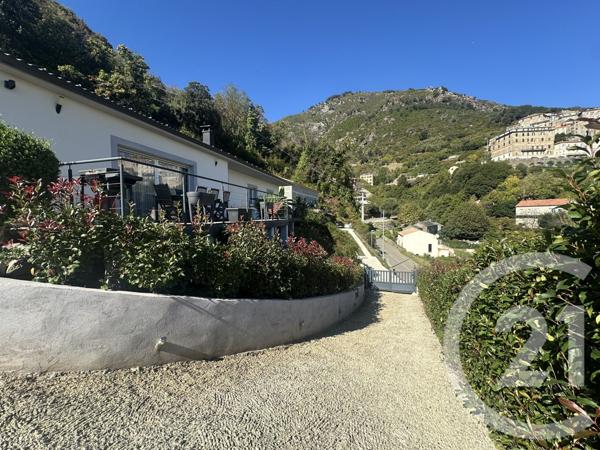 Maison à vendre  5 pièces - 124 m2 CERVIONE - 202