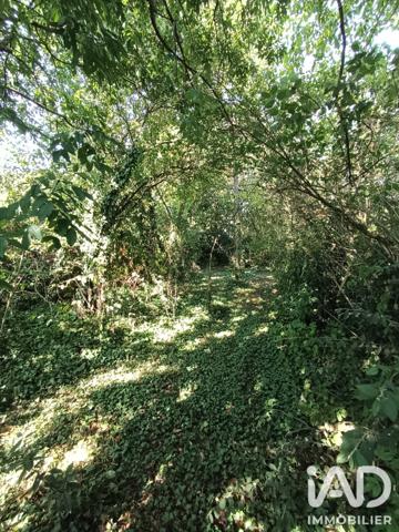 Terrain à vendre 1 361 m² Doué-en-Anjou
