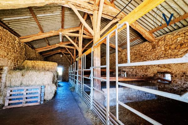 Propriété d’exception où le cheval est au cœur de la vie quotidienne proche de TOURNON D'AGENAIS (47)