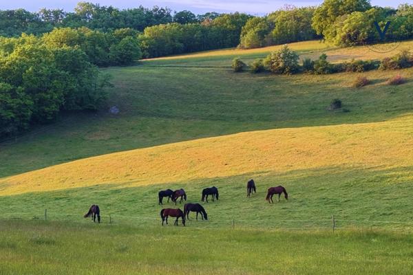Propriété d’exception où le cheval est au cœur de la vie quotidienne proche de TOURNON D'AGENAIS (47)