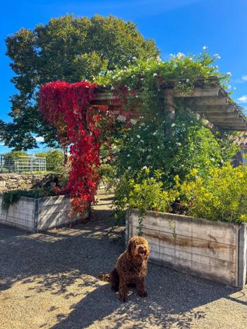 Propriété d’exception où le cheval est au cœur de la vie quotidienne proche de TOURNON D'AGENAIS (47)