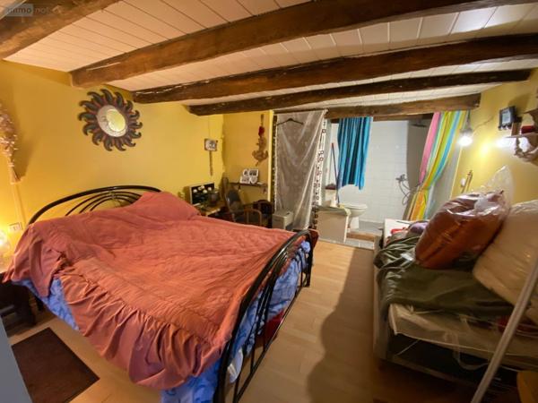 Maison à vendre à Châtillon-sur-Indre dans l'Indre (36700), ref : 1051751M