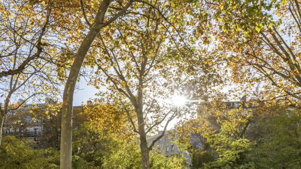 Appartement Paris 17e - PEREIRE