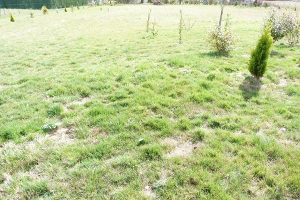Vente Terrain 1500 m2 à Vierzon