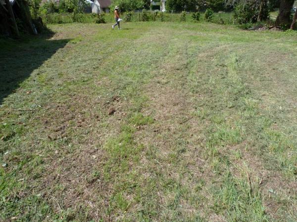 Vente Terrain 1500 m2 à Vierzon