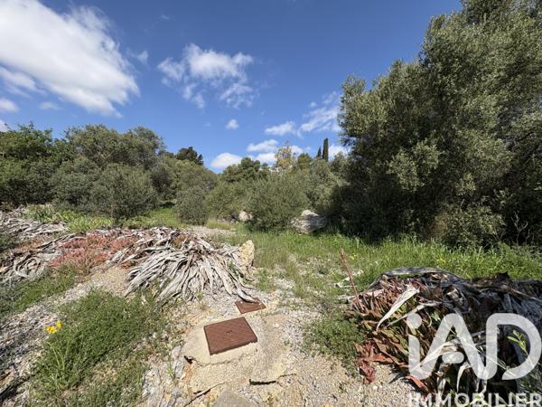 Terrain à vendre 729 m² La Palme