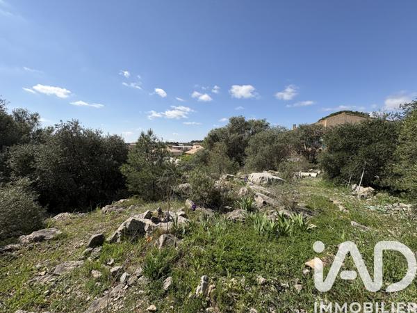 Terrain à vendre 729 m² La Palme