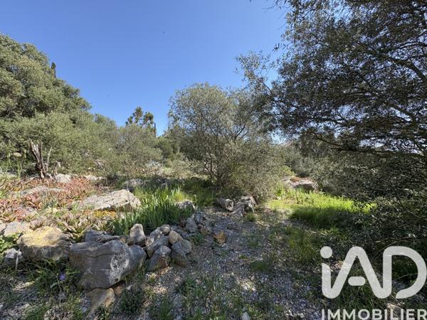 Terrain à vendre 729 m² La Palme