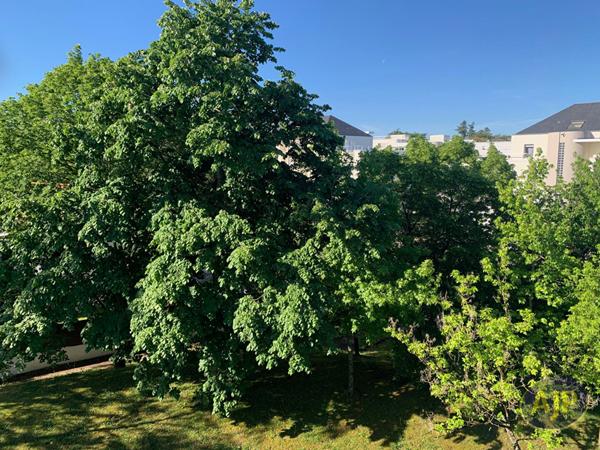 Vente appartement Saint Sebastien Sur Loire : 159 500 € - AJP Immobilier Saint-Sébastien-sur-Loire