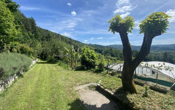 Vente Maison à rafraîchir Argentat-sur-dordogne   