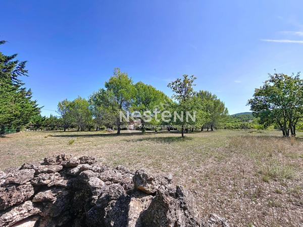 Un havre de calme et de tranquillité dans la nature