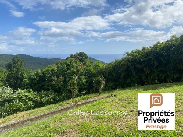 TERRAIN D'EXCEPTION AVEC VUE PANORAMIQUE MER & MONTAGNE - Pointe Noire 1500 m2