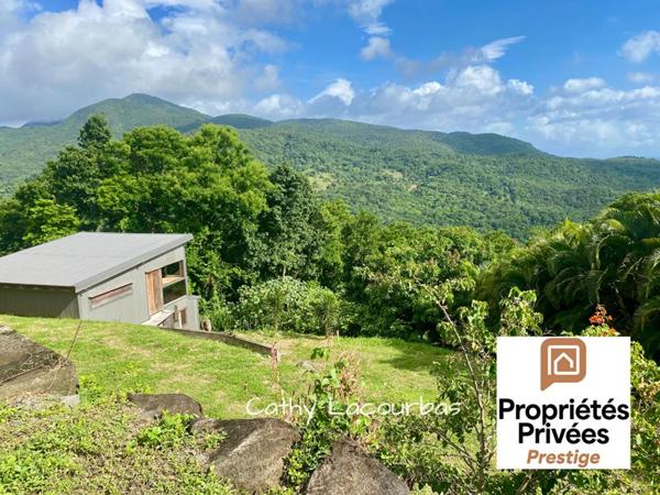 TERRAIN D'EXCEPTION AVEC VUE PANORAMIQUE MER & MONTAGNE - Pointe Noire 1500 m2