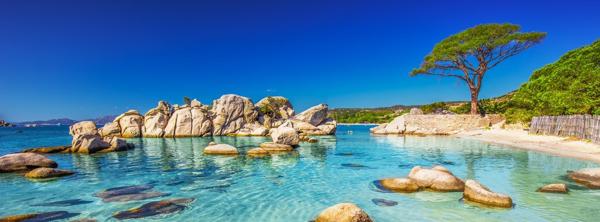 Calvi (20260) Appartement 3 pièces avec extérieur à Calvi