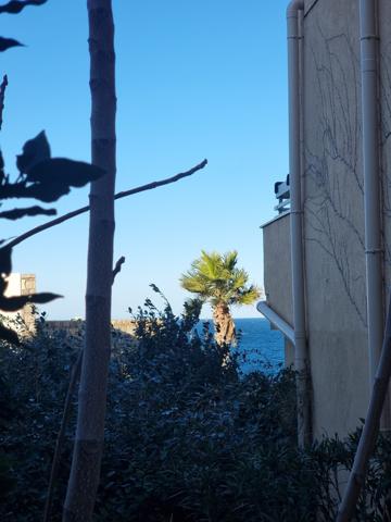 Calvi (20260) Appartement 3 pièces avec extérieur à Calvi