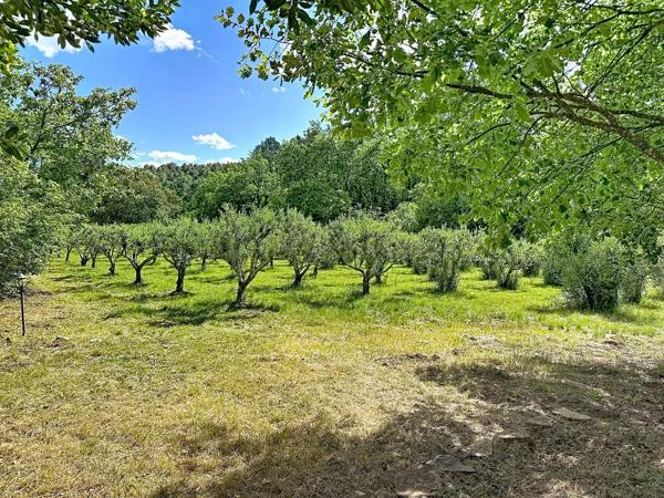 Spacieuse propriété provençale avec maison d’amis et magnifique terrain