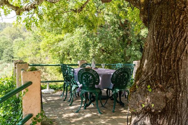 Spacieuse propriété provençale avec maison d’amis et magnifique terrain