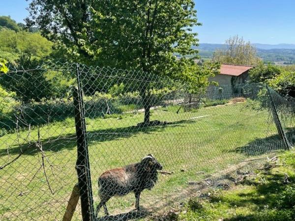 🏡 L’Authenticité de la Pierre & 3 200 m² de Liberté – À 10 min de Saint-Vallier